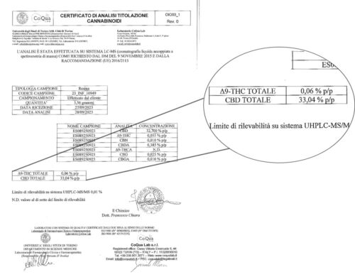 analyse d'image agrandie du taux de CBD de haschich charas