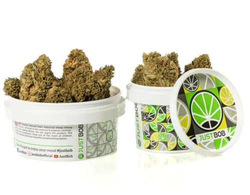 Fleurs séchées de Fleur de CBD de qualité supérieure dans un récipient hermétique