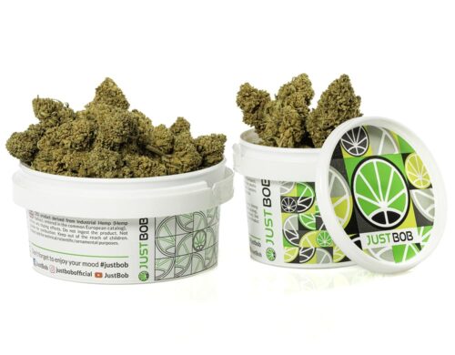 Fleurs séchées de Fleur de CBD de qualité supérieure dans un récipient hermétique