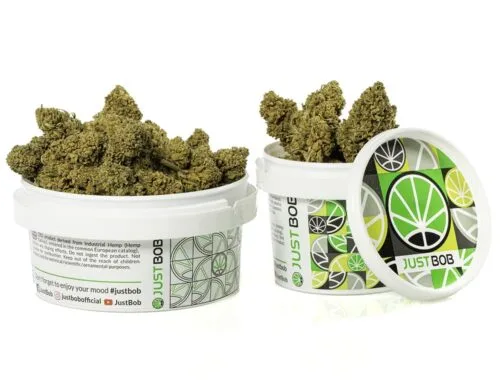 Fleurs séchées de Fleur de CBD de qualité supérieure dans un récipient hermétique
