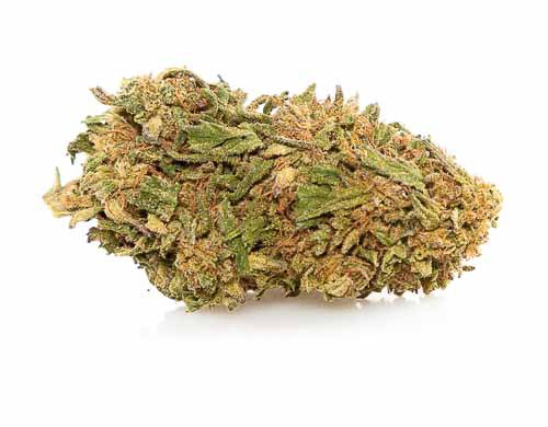 Lemon Cheese Fleur CBD