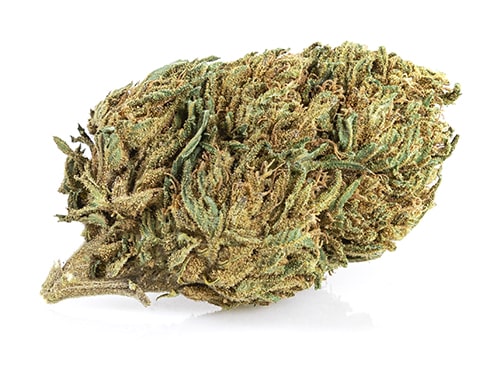 Lemon Cheese Fleur CBD