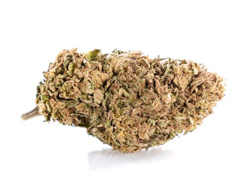 Lemon Cheese Fleur CBD