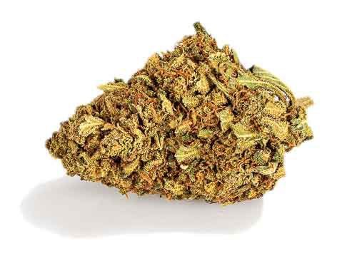 Lemon Cheese Fleur CBD