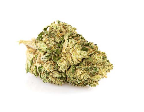 Fleur de CBD White Widow - JustBob