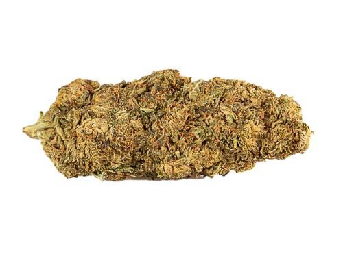 mango-haze-fleur-de-cannabis