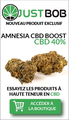 amnesia cbd boost france