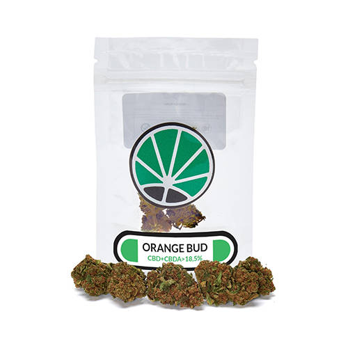 bud-orange-plante-du-marijuana-cbd-fleur bud-orange-plante-du-marijuana-cbd-fleur