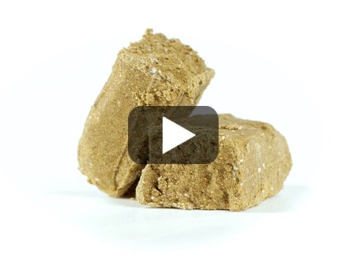 burbuka cbd hasch video