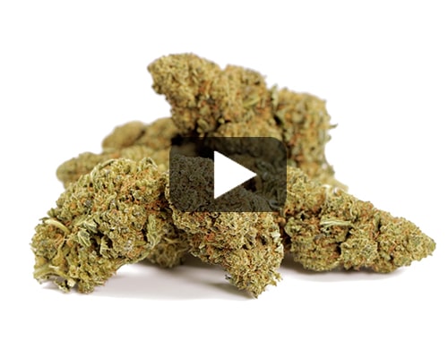 cbd-france-orange-cbd-boost