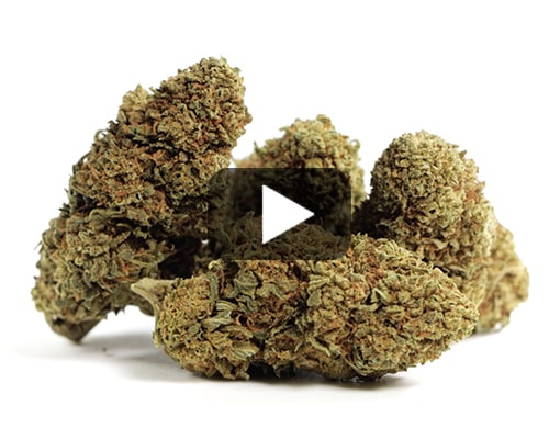 cbd-france-sweet-berry