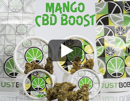 cbd-shop-france-Mango-cbd-boost