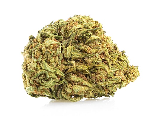 fleur de Mango Haze canabis légal