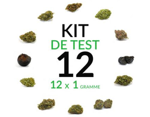 fleur-de-cbd-cannabis-marijuana-12-gramme fleur-de-cbd-cannabis-marijuana-12-gramme