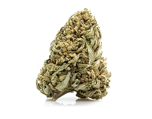 fleur de white widow cannabis CBD