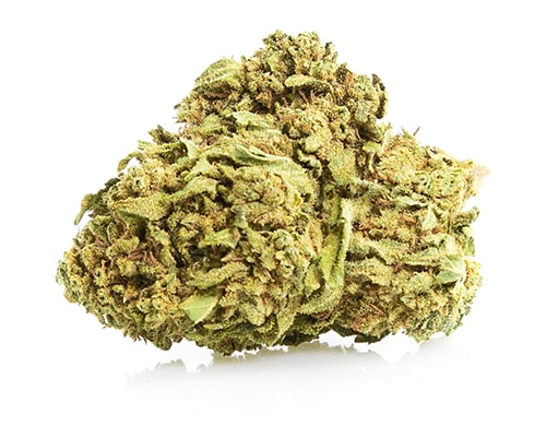 fleur de white widow cannabis CBD