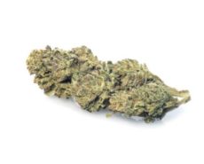 lemon-cheese-fleur-de-cannabis lemon-cheese-fleur-de-cannabis