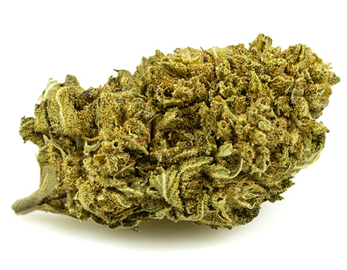 lemon-cheese-small-fleurs-cbd