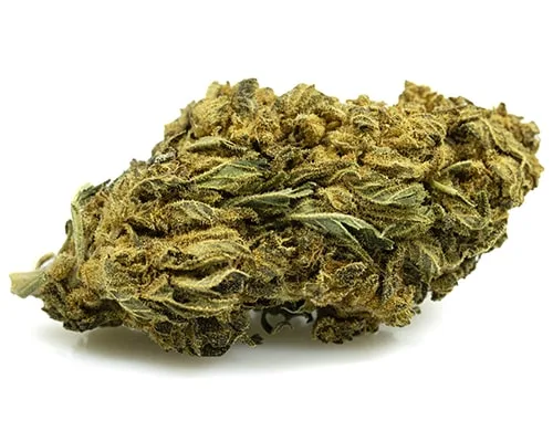 lemon-cheese-small-fleurs-cbd