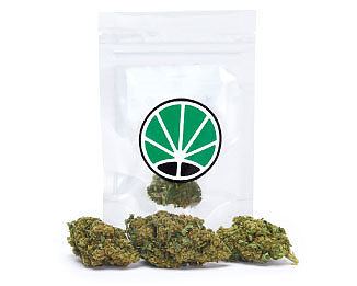 lemon-cheese-weed-fleur-de-cbd-marijuana-cannabis-sativa lemon-cheese-weed-fleur-de-cbd-marijuana-cannabis-sativa