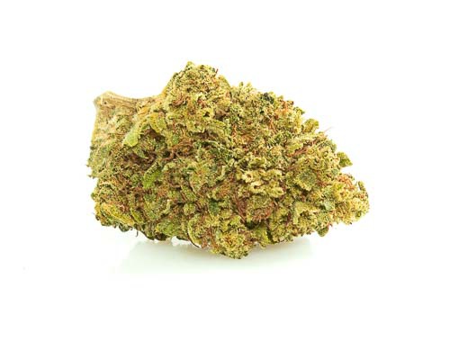 mango haze fleur de cannabis