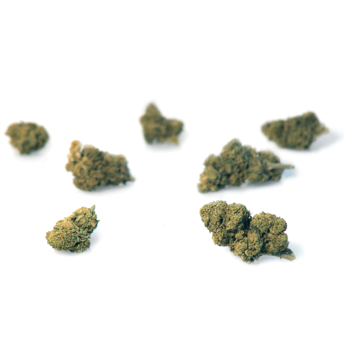 mango-haze-fleur-de-cbd mango-haze-fleur-de-cbd