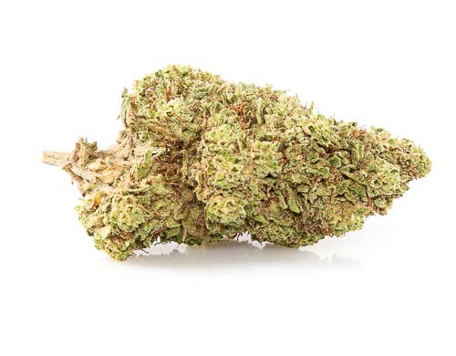 Fleurs CBD de la variété Orange Bud