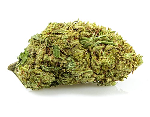 Fleurs CBD de la variété Orange Bud