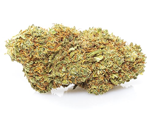 Fleurs CBD de la variété Orange Bud