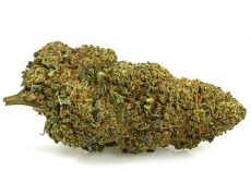 orange-cbd-boost-fleurs-cbd