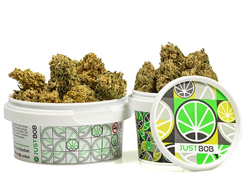 pot-bubblegum-cannabis-cbd