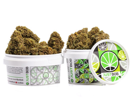 pot mango cbd boost cannabis cbd