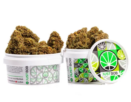 pot mango cbd boost cannabis cbd