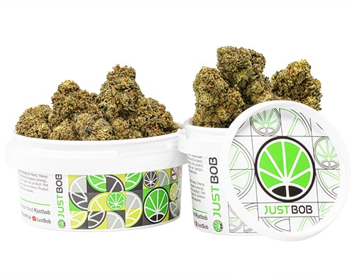 pot-mango-cbd-boost-cannabis-cbd