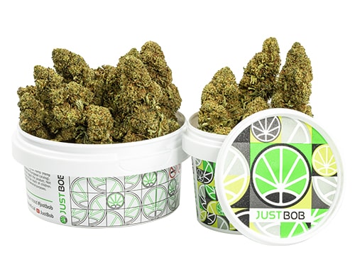 pot-orange-cbd-boost-cannabis-cbd