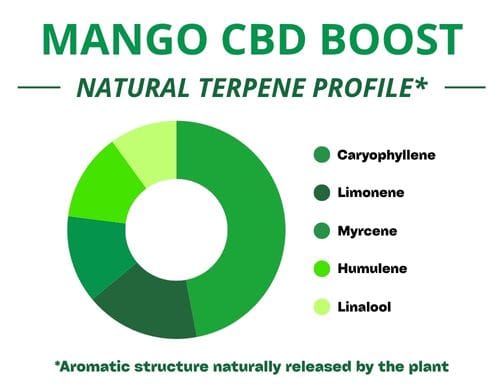 Diagramme circulaire du profil terpénique de la variété Mango Haze