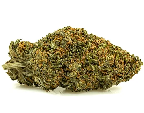 sweet-berry-small-fleurs-cbd