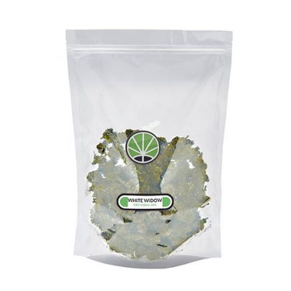white-widow-fleur-cbd-cannabis-thc white-widow-fleur-cbd-cannabis-thc
