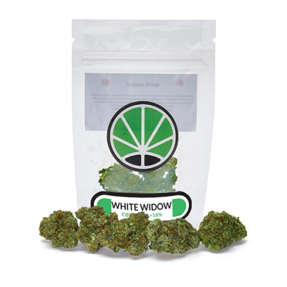 white-widow-fleur-de-cbd-marijuana white-widow-fleur-de-cbd-marijuana
