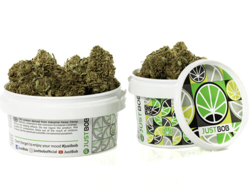 Fleurs CBD Sweet Berry de Cannabis Light dans un conteneur blanc