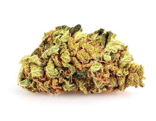 fleur de cannabis cbd sweet berry