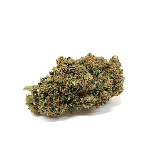 sweet-berry-marijuana sweet-berry-marijuana-cbd-fleur-de-cbd-cannabis