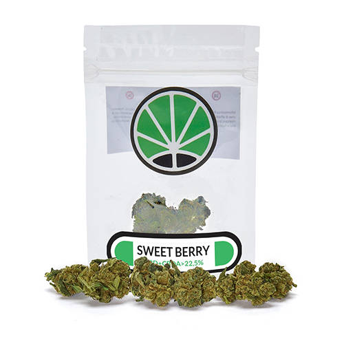 sweetberry-cannabis-sativa sweetberry-cannabis-sativa-fleur-de-cbd