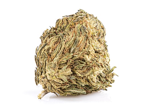 fleur de cbd Melon Kush