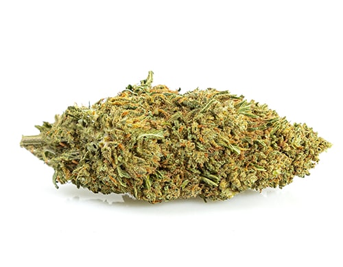 fleur de cbd Melon Kush