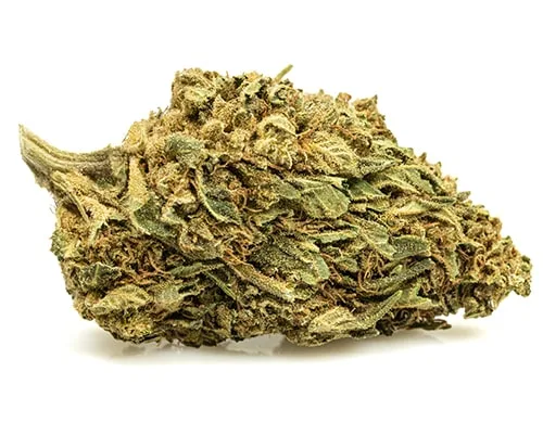 MELON KUSH-small-fleurs-cbd
