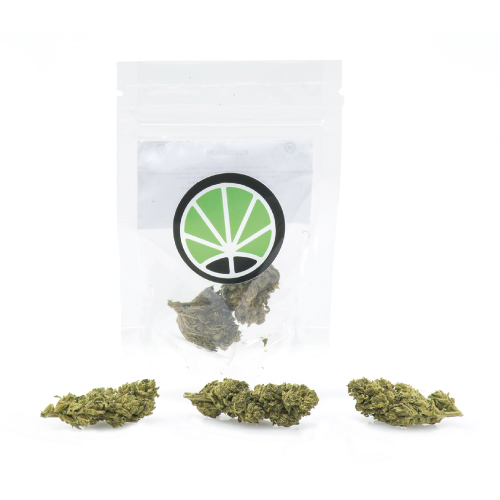 melon-kush-marijuana-cbd-thc-cannabis melon-kush-marijuana-cbd-thc-cannabis