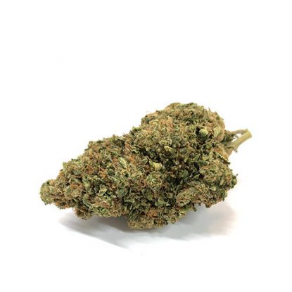 Bubblegum-fleur-de-cannabis-cbd-marijuana-france Bubblegum-fleur-de-cannabis-cbd-marijuana-france