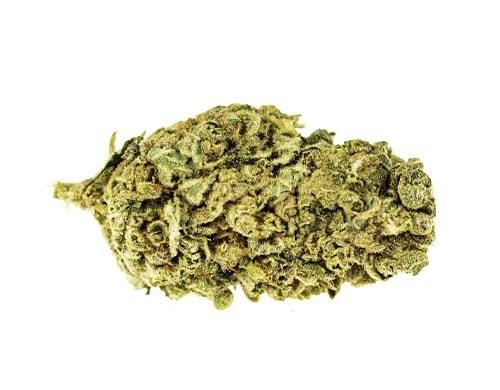 platinum bubble gum strain