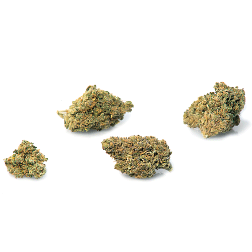 bubblegum-fleur-cbd bubblegum-fleur-cbd